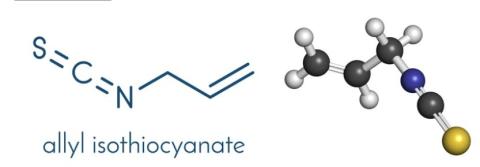 Allyl isothiocyanate