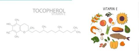 Tocopherol supplier in oman
