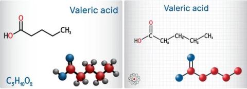 Valeric acid