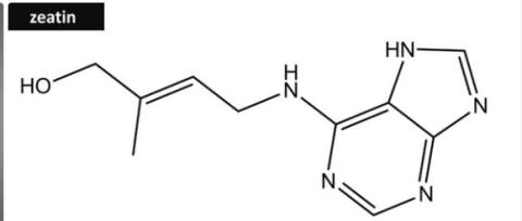 Zeatin supplier in oman