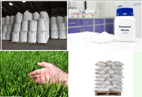 Potassium Nitrate Supplier Muscat