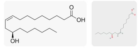 Ricinoleic acid supplier in oman