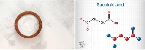 Succinic acid supplier in oman