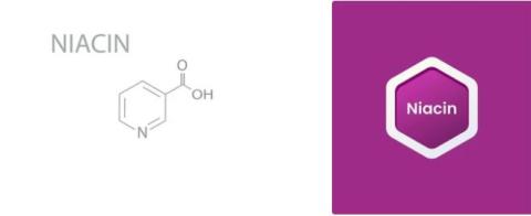 Niacin supplier in oman
