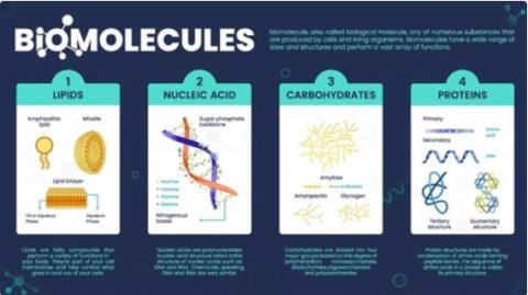 Nucleic acids supplier in oman