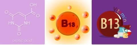 Orotic acid supplier in oman