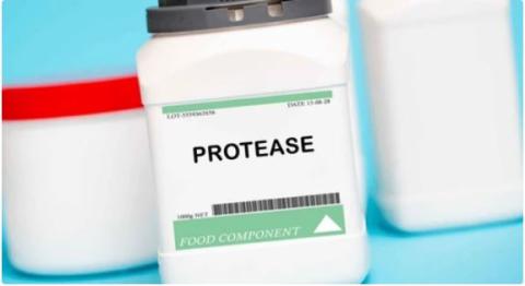 Protease