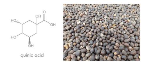 Quinic acid supplier in oman