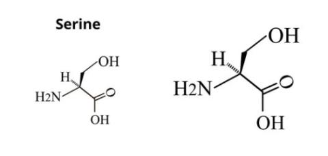  Serine Production and Global Distribution from the Heart of Oman